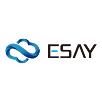 ESAY