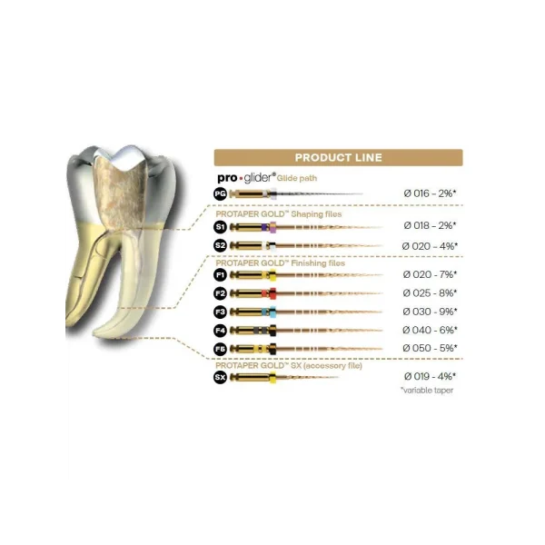 ProTaper Rotativ GOLD SX /19mm Dentsply - imagine 2