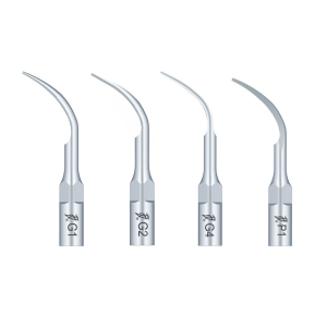 Set 4 anse detartraj (G1,G2,G4,P1) Woodpecker