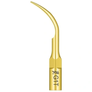 Ansa detartraj G1T tip EMS