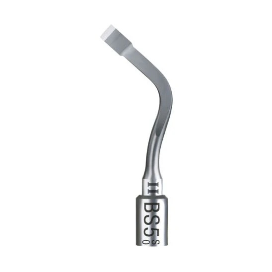 Ansa BS5 II Acteon 1 Ansa BS5 II Acteon
