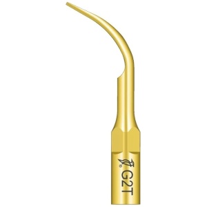 Ansa detartraj G2T tip EMS