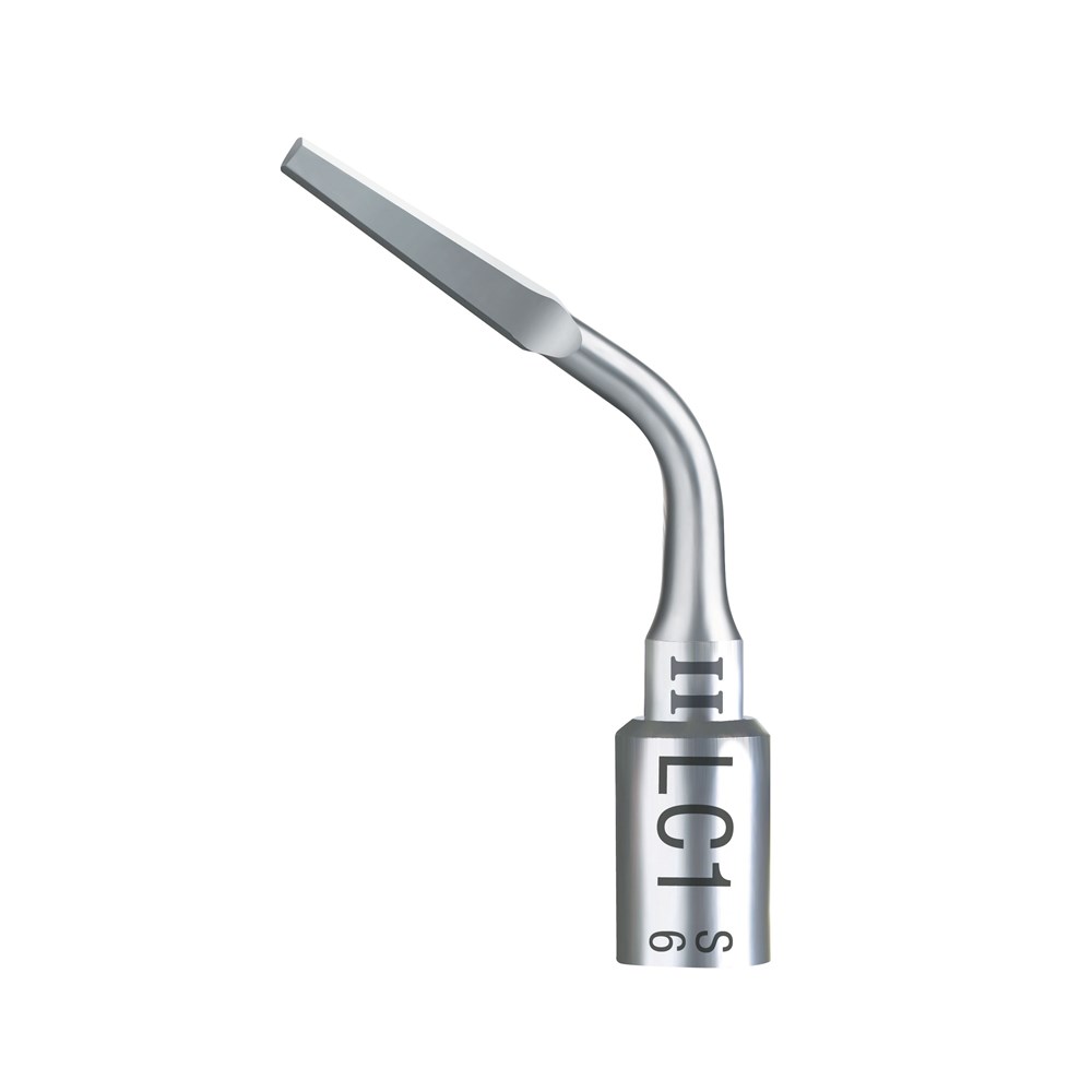 Ansă LC1 II Acteon 1 Ansă LC1 II Acteon